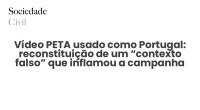 Vídeo PETA usado como Portugal: reconstituição de um “contexto falso” que inflamou a campanha - Sociedade Civil