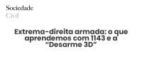 Extrema-direita armada: o que aprendemos com 1143 e a “Desarme 3D” - Sociedade Civil