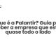 O que é a Palantir? Guia para perceber a empresa que está em quase todo o lado - Sociedade Civil