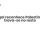 Portugal reconhece Palestina mas trava-se no resto - Sociedade Civil